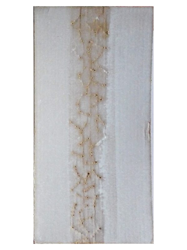 Paolo Masi, Senza titolo